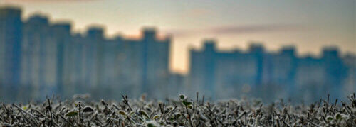 foto.podkreslnazielono.pl